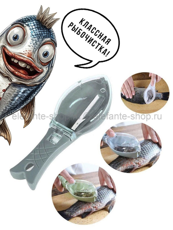 أداة تنظيف السمك